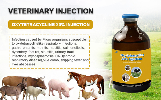 牛ヒツジのヤギ犬動物薬のための獣医の注射可能な薬剤のオキシテトラサイクリンHCl 20%の注入