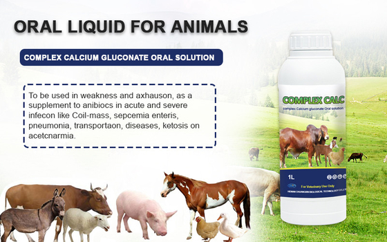 牛ヒツジの馬のための口頭解決の薬複雑なカルシウムGluconateの口頭解決