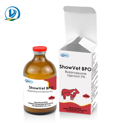 牛子牛のヒツジのヤギ犬猫のためのBuparvaquoneの注入5%の獣医の注射可能な薬剤